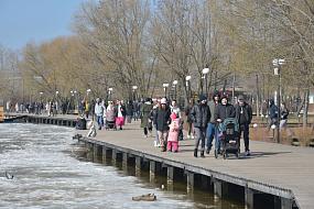 Променад воронежского парка «Дельфин» увеличат на 1 километр 